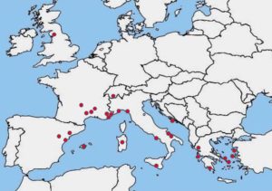 Lire la suite à propos de l’article Voyages en Europe